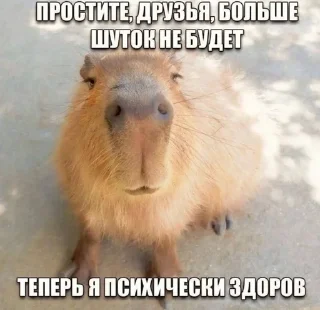 Sticker from хочу сдохнуть