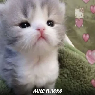 Sticker from хочу сдохнуть