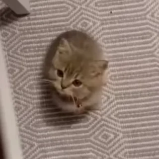 🤯 emoji Больше стиков тут: @stikery4 Telegram sticker 5 of 50
