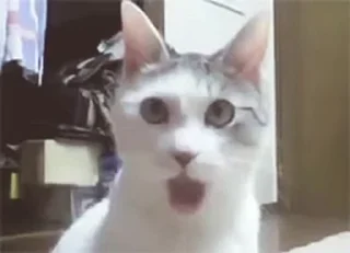 🤯 emoji Больше стиков тут: @stikery4 Telegram sticker 4 of 50