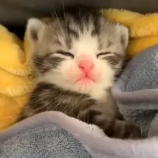 🤯 emoji Больше стиков тут: @stikery4 Telegram sticker 7 of 50