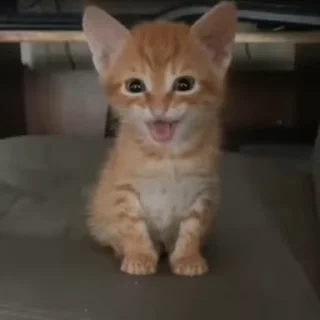 🤯 emoji Больше стиков тут: @stikery4 Telegram sticker 6 of 50