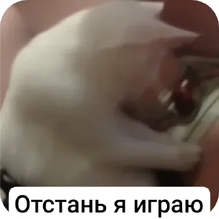 Sticker from STRA1KER MILKA https://t.me/STRA1KER_LOL