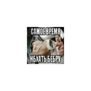 ⌚ emoji Папка "Сочі 2009" Telegram sticker 7 of 120
