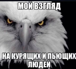 🌟 emoji Мазафакин блин Telegram sticker 23 of 120