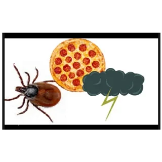 🍕 emoji Гомики Telegram sticker 13 of 29