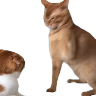 😡 emoji Смерть с косой @temy_yazyki_bot Telegram sticker 22 of 34