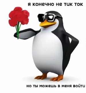 Sticker from пингвинчик- серцеед💔