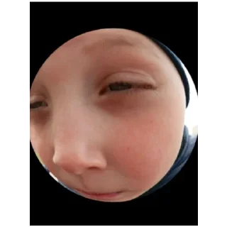 🍔 emoji русофоб Telegram sticker 11 of 15