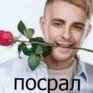 😄 emoji Пак одного анимешника и двух комуняк Telegram sticker 16 of 29