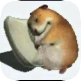 🛌 emoji memes Telegram sticker 14 of 19