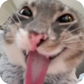😜 emoji memes Telegram sticker 21 of 24