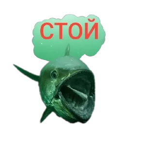 😊 emoji 🐟 рыбки 🐟 @StickersPackRobot Telegram sticker 17 of 55