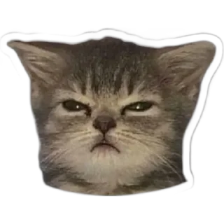 Sticker from memes