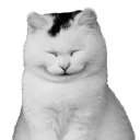 Sticker from приколи
