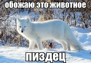 🌟 emoji Домашний квас из берёзового со Telegram sticker 15 of 17