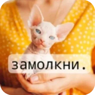 🐱 emoji ❤ Telegram sticker 6 of 6