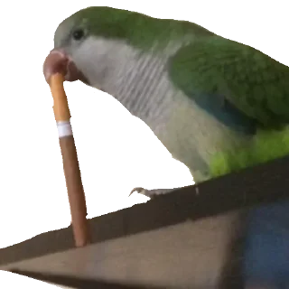 😓 emoji Cum Telegram sticker 20 of 53