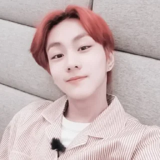Sticker from #𝐦𝐨𝐨𝐝: jᥙᥒgᥕ᧐ᥒ ;: by @paradismaudit