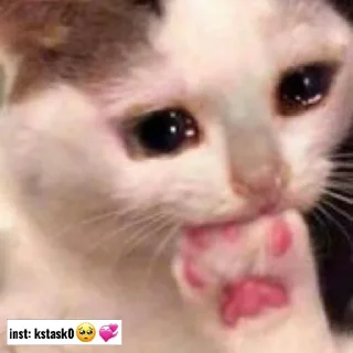😥 emoji inst: kstask0🥺💞 Telegram sticker 23 of 33