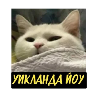 😴 emoji мои Telegram sticker 13 of 81