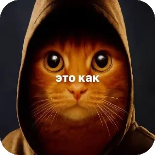 🐱 emoji Окаки Telegram sticker 5 of 7