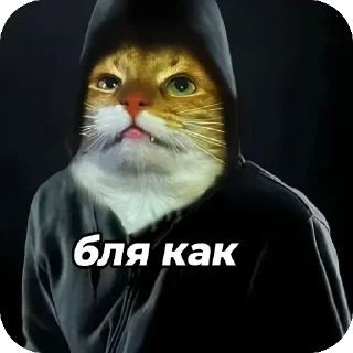 🐱 emoji Окаки Telegram sticker 3 of 7