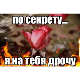 😏 emoji Больше стикеров 👉🏻 @stickertg4 Telegram sticker 2 of 10