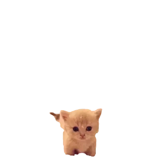 🥹 emoji @stikerk877 Telegram sticker 10 of 30