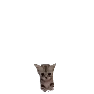 🥹 emoji @stikerk877 Telegram sticker 4 of 30