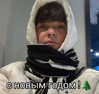 🌟 emoji Платон не гандон:^) Telegram sticker 9 of 46