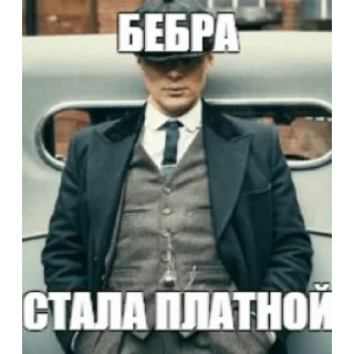 😎 emoji Томас ШулБа Telegram sticker 20 of 29