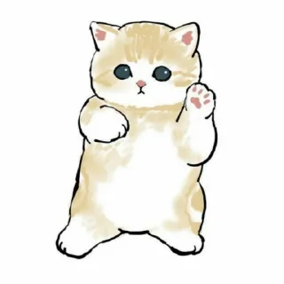 🐈 emoji ⌗ 𝖼𝖺𝗍𝗌 @neveltry Telegram sticker 14 of 85