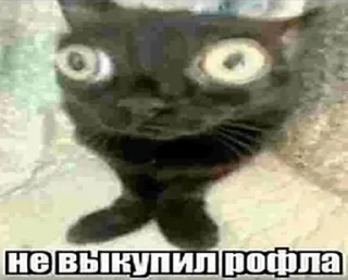 😧 emoji Мили стики @StickersPackRobot Telegram sticker 19 of 104