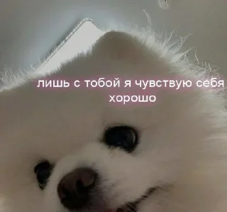 👨‍✈️ emoji @WmojiBot Любофффф💋🫶 @Femoji Telegram sticker 6 of 56