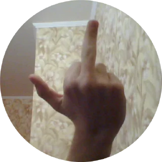 🖕 emoji Анархия Telegram sticker 24 of 31