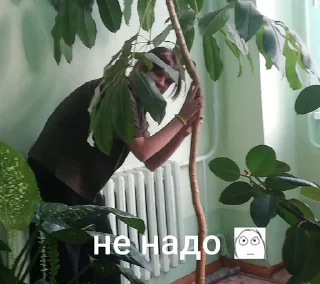 🧚‍♀ emoji ☆мемные мы☆ Telegram sticker 17 of 103