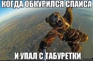 🌟 emoji даун, ты долбаёб? Telegram sticker 20 of 77