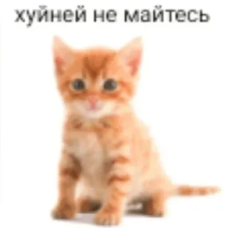 ❌ emoji Для супер важных переговоров Telegram sticker 8 of 24