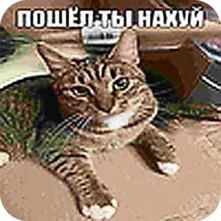 🖕 emoji Для супер важных переговоров Telegram sticker 6 of 24
