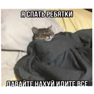 👍 emoji Бубубебе Telegram sticker 20 of 84