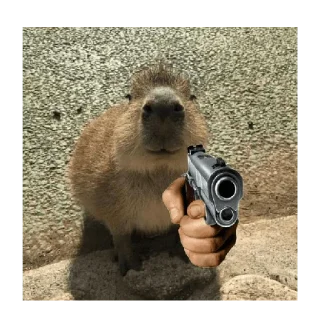 😡 emoji Капибарки от @Gitarkadydydy Telegram sticker 5 of 59