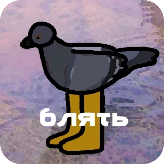 Sticker from Все мемные хуйни от @Mixer_qp