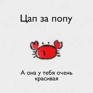 Sticker from лиам пиздюк.