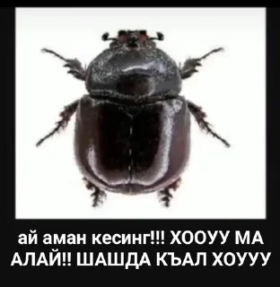 😋 emoji вк @karachmemes Telegram sticker 11 of 55
