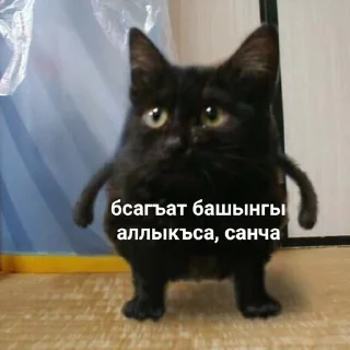 😡 emoji вк @karachmemes Telegram sticker 19 of 55