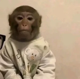 😐 emoji Monkey Telegram sticker 16 of 18