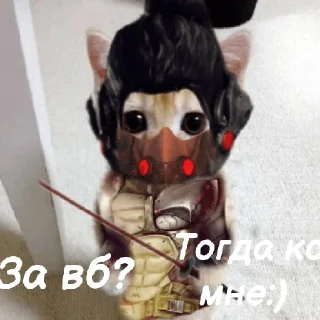 Sticker from Легенды котов