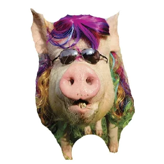 Sticker from My Little Pigs