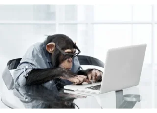 🙉 emoji Monkey business Telegram sticker 24 of 39